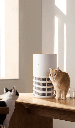 Xiaomi Smart Pet Care Air Purifier – Breathe Easy, Pure Air for You & Your Pets